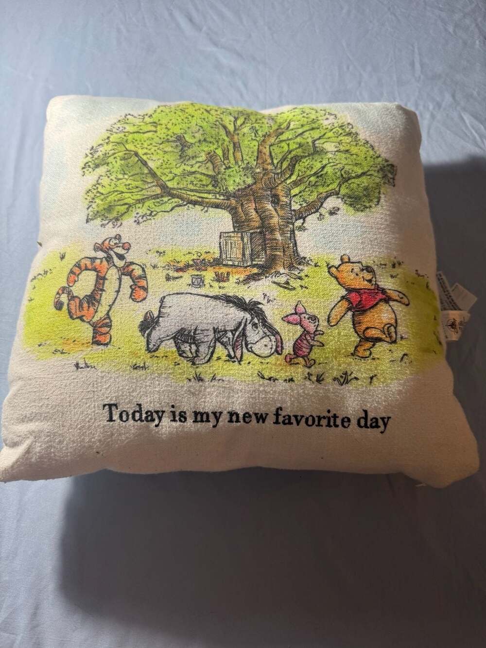 Disney Parks Winnie the Pooh Classic Today Is My New Favorite Day Pillow